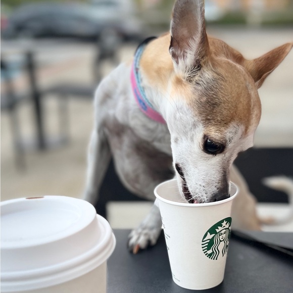 Meet your Posher, Kelly - Picture 8 of 8